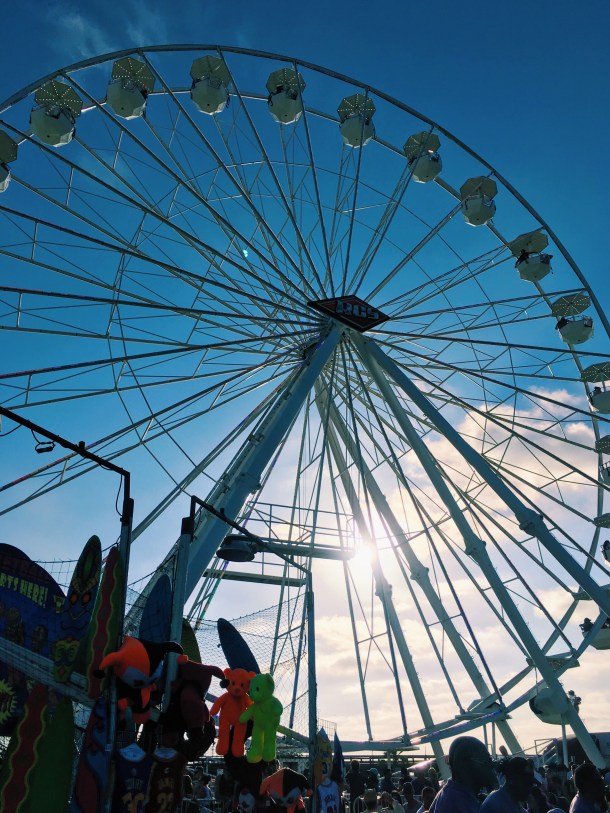 san diego county fair 2016