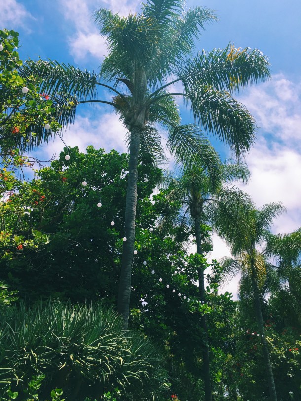 san diego county fair 2016