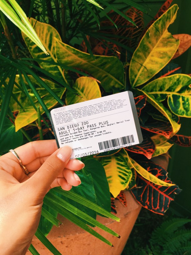 san diego county fair 2016