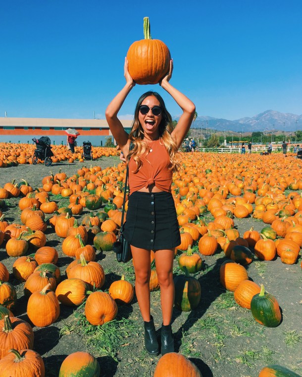 pumpkin festival 2016